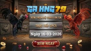 GAKING79 Xem Full Clip Da Ga Truc Tiep CPC5 Ngay 16032026 1