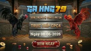 Xem Full Video Đá Gà CPC4 Ngày 08/06/2026