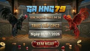 Xem Full Video Đá Gà CPC2 Ngày 01/07/2026 Tại GAKING79